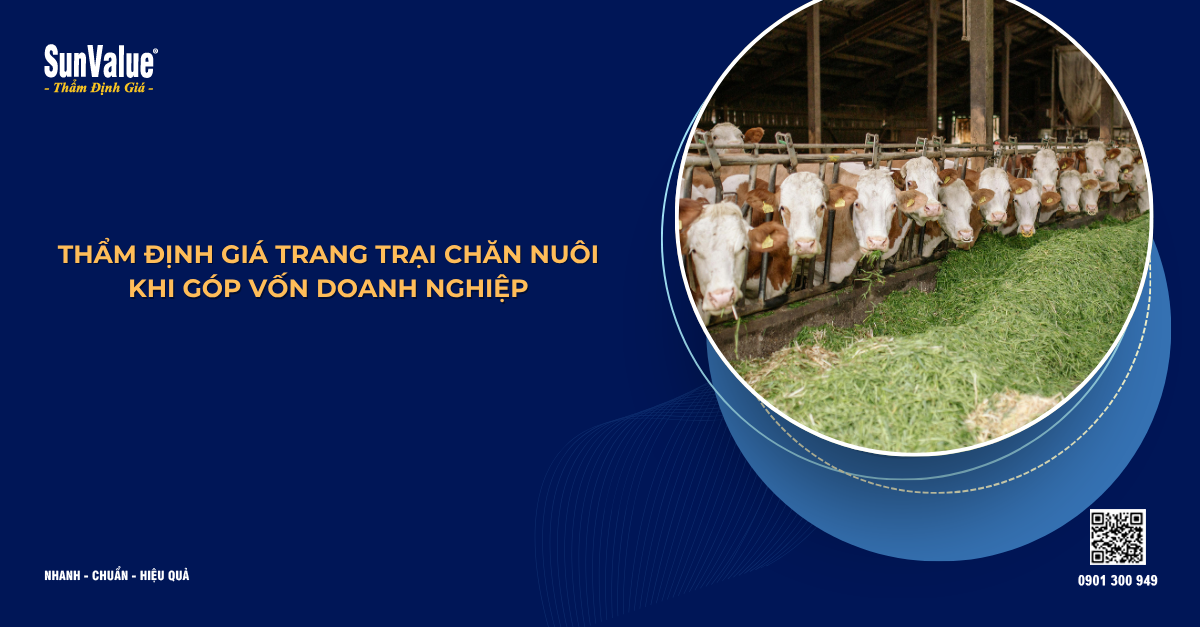 THẨM ĐỊNH GIÁ TRANG TRẠI CHĂN NUÔI KHI GÓP VỐN DOANH NGHIỆP