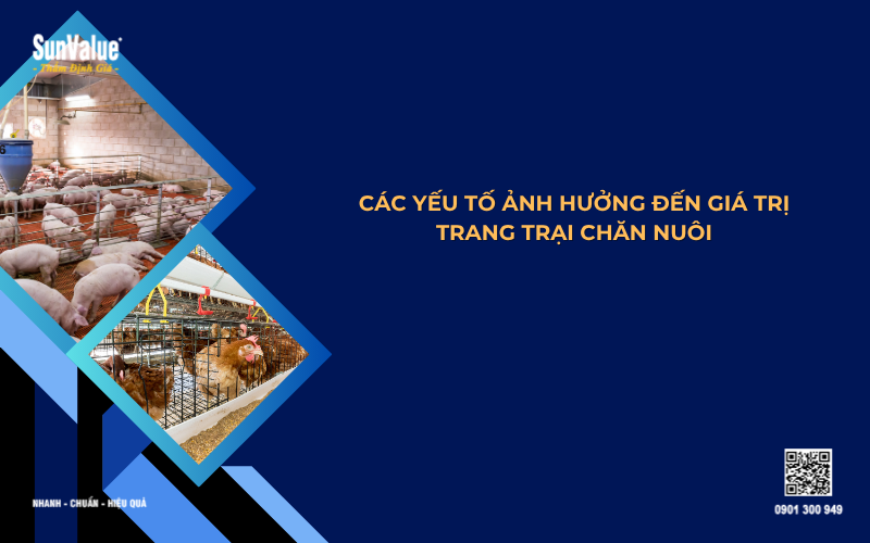 giá trị trang trại chăn nuôi