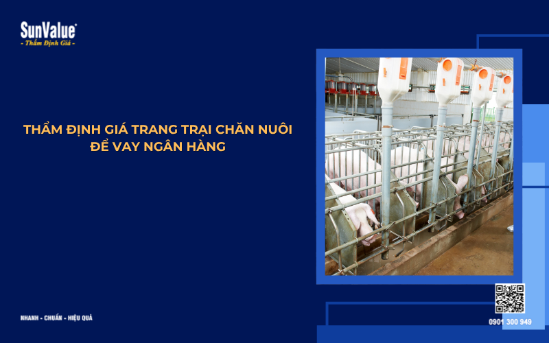 thẩm định giá trang trại chăn nuôi vay vốn ngân hàng