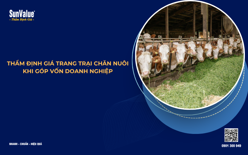 thẩm định giá trang trại chăn nuôi để góp vốn doanh nghiệp